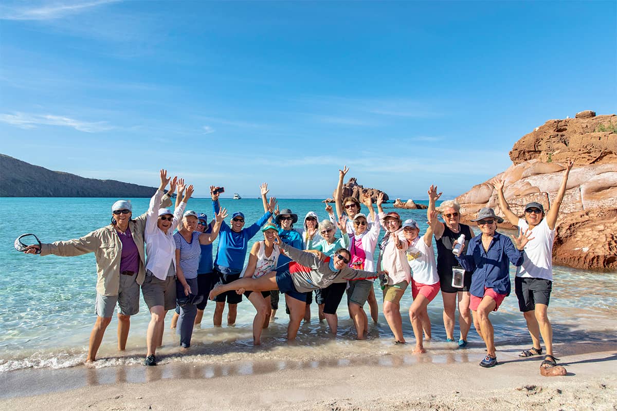 Baja Whale Quest: From Lagoons to the Sea of Cortez