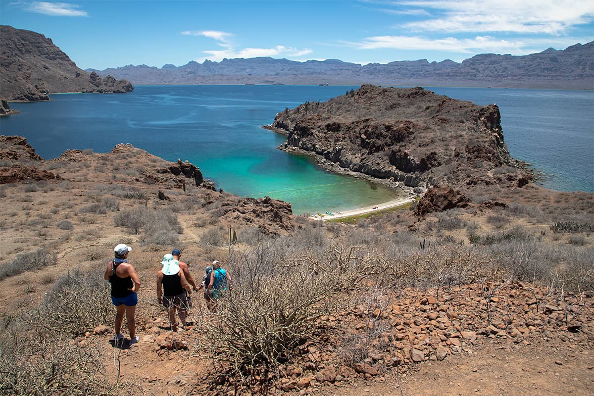 Baja Whale Quest: From Lagoons to the Sea of Cortez
