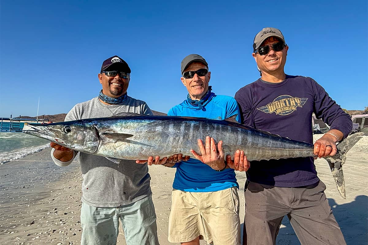 Sea of Cortez Islands Snorkel Expedition