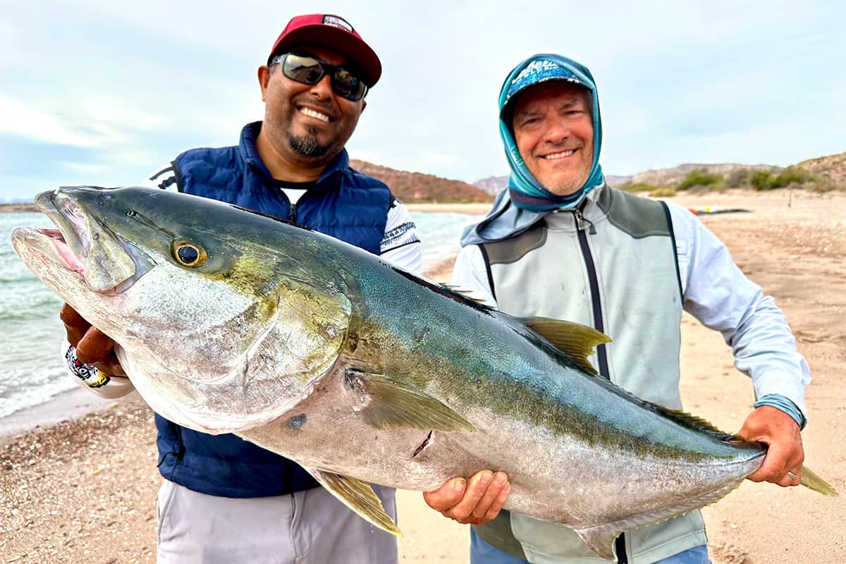 Sea of Cortez Islands Snorkel Expedition