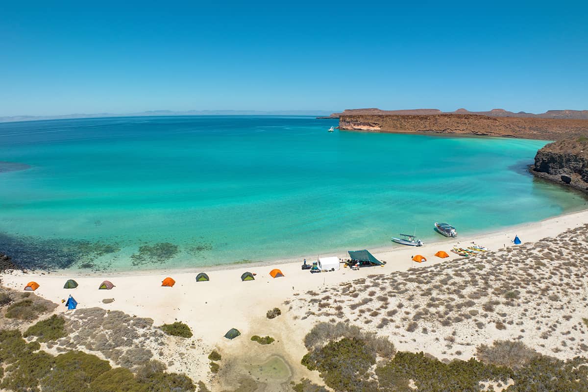 Sea of Cortez Islands Snorkel Expedition