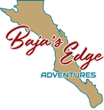 Baja's Edge Adventures